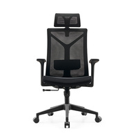 Chaise de promotion moderne à dossier en maille avec accoudoirs réglables, légère et portable, design ergonomique pour usage en salle de sport