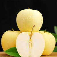 Premium verse Golden Delicious appel, gele appel, natuurlijke smaak, voor detailhandel en horeca