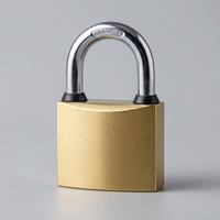 Cadenas en fer de type arc, plaqué or, chrome et nickel, robuste, antivol, étanche, à clé, pour portail, porte, entrepôt, vente en gros