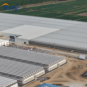 Struttura a Tunnel in Polietilene di Ampia Larghezza per l'Agricoltura Moderna e Progetti Agroimprenditoriali - Product Image 1