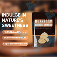SUNI OEM ODM Marque Privée 10 en 1 Complexe d'Extraits de Champignons Crinière de Lion et Reishi en Gummies, Complément pour Hommes et Femmes, pour la Concentration