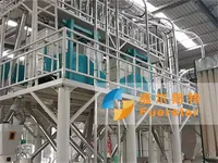 Machine à moudre le maïs 50-100 TPD, usine de production de farine de maïs, ligne de traitement de la farine de maïs, moteur facile à utiliser, certifiée ISO9001/CE
