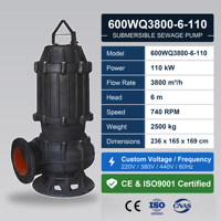 Pompe submersible pour eaux usées 110KW 3800CBM 6M de hauteur de refoulement 24 pouces en fonte robuste pour ferme et centre commercial CE CQC OEM