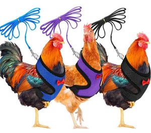 Free Sample <b>Chicken</b> Hen Vest Breathable Air Mesh Adjustable Training <b>Chicken</b> <b>Harness</b> With Leash For Duck Goose Rooster Small - Product Image 3