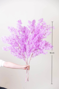 Moon Yu เฟิร์นหน่อไม้ฝรั่งที่เก็บรักษาไว้ได้นานธรรมชาติ - Product Image 2