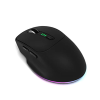 Kabel Penerima USB M2 Tipe-C Mouse Nirkabel 2.4G Isi Ulang 4800 DPI RGB Backlit 6D Mouse Gaming Ergonomis