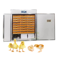 Incubateur Automatique d'Œufs de Volaille pour Poulet Canard Oie Caille Neuf avec Moteur 220V