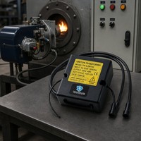 Transformateur d'allumage industriel 38 kV avec contrôleur électronique pour brûleurs à mazout et à huile usagée