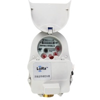 Módulo LoRa Remoto para Internet de las Cosas, Medidor de Agua Inteligente de 433MHz DN15 de Latón IP68, Fabricante Chino OEM