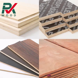 Pannello di <span class=keywords><strong>compensato</strong></span> laminato da <span class=keywords><strong>2</strong></span> <span class=keywords><strong>mm</strong></span> a basso prezzo per l'edilizia e l'arredamento - Product Image 6