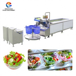 Máquina Procesadora de Frutas y Verduras, Línea de Lavado y Secado de Lechuga para Plantas de Procesamiento de Vegetales a Gran Escala - Product Image 1