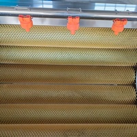 Machine automatique de lavage et de pelage de pommes de terre à rouleaux brosse, laveuse de légumes, solution de nettoyage pour carottes, gingembre, manioc, taro, patate douce
