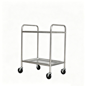 <span class=keywords><strong>Chariot</strong></span> <span class=keywords><strong>médical</strong></span> à <span class=keywords><strong>2</strong></span> niveaux en acier inoxydable 304 de qualité alimentaire, <span class=keywords><strong>chariot</strong></span> de traitement pour instruments hospitaliers avec roulettes silencieuses - Product Image 2