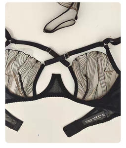 ZZ193 Lencería Erótica de Encaje Transparente para Mujer, Conjunto de 2 Piezas, Ropa Interior Erótica Sexy - Product Image 5