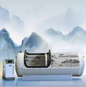 ZOY Hot Sale Spa Kapsel Tragbares Bett Hyperbare Sauerstoff kammer