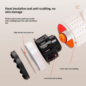 Aparato de Moxibustión con Caja de Agujas, Masaje de Meridianos, Raspado Facial, Ventosas, Material ABS, Recargable por USB para Uso Doméstico - Product Image 2