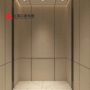 Ascensor Pequeño para Pasajeros, de Acero Inoxidable, con Sistema de Tracción, para Apartamentos y Oficinas, Diseño Moderno, 1 Año de Garantía - Product Image 5