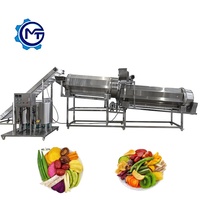 Dehydraterende groente- en fruitmixer, meel- en snoepmixer, continue smaakversterker, automatische poederstrooier met enkele trommel voor kruiden.
