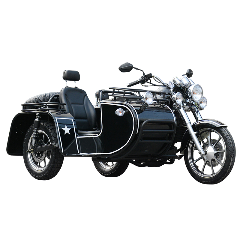 Sidecar Adult Trike Motorcycle 1500w 2000w Tricycle Adult Scooter