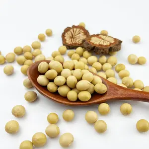 Graines de soja cru de haute qualité en sacs, graines de soja en vrac biologique à vendre - Product Image 4