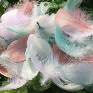 Atrapasueños hecho a mano, plumas de ganso de 6-12cm, diseño de moda artesanal, decoración de ropa, venta al por mayor - Product Image 5