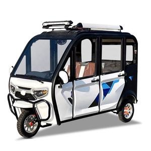 Triciclo Económico con Cabina, Neumático de Tres Ruedas, 1200W 2000W 3000W, Triciclo Pedicab, Triciclo Reversible para Adultos - Product Image 2