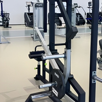 Machine à pulldown latéral indépendante à charge libre pour salle de sport commerciale, équipement de musculation pour le dos, machine de fitness