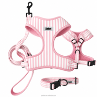 Muestra Gratuita de Fabricantes: Conjuntos de Correas y Collares para Perros con Diseño de Rayas y Lujo, Personalizables para Perros Pequeños y Grandes