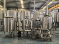 200L 300L Microbrouwerijapparatuur voor brouwerij kleine brouwsystemen
