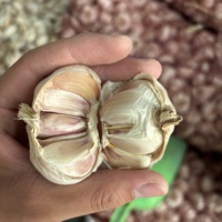 Nouvelle Saison 2026 : Ail Blanc Frais de Haute Qualité en Gros pour l'Exportation au Gabon, destiné aux Acheteurs et Importateurs