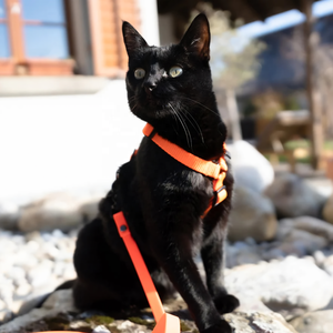 Arnés táctico personalizado <span class=keywords><strong>para</strong></span> gatos y <span class=keywords><strong>perros</strong></span> Con <span class=keywords><strong>soporte</strong></span> <span class=keywords><strong>emocional</strong></span>, fabricante de gatitos, <span class=keywords><strong>chaleco</strong></span> Esa, arnés y correa de nailon <span class=keywords><strong>para</strong></span> gatos sin tirones <span class=keywords><strong>para</strong></span> mascotas - Product Image 4