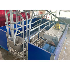 Nuevo Equipo Agrícola Personalizado HENGYIN 2026, Jaula de Parto para Cerdos Galvanizada, Anticorrosión, Certificación CE, Vida Útil de 15-25 Años - Product Image 6