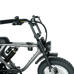 Bicicleta Eléctrica de Montaña con Amortiguador Central Ajustable, Motor de 48V/52V 1000W, Neumáticos E-Fat de 20*4 Pulgadas, Cuadro de Aluminio - Product Image 4