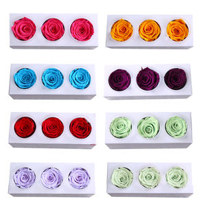 Rosa Eterna, Rosa Preservada, Flor Eterna, Infinita, Para Siempre, Rosas Eternas Preservadas de 8cm y 9cm - Product Image 6