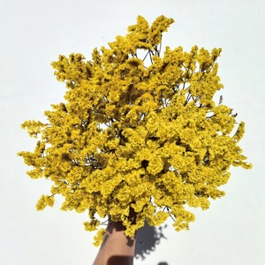 <span class=keywords><strong>Fleur</strong></span> éternelle Saint Valentin cadeau <span class=keywords><strong>de</strong></span> fête des mères <span class=keywords><strong>fleur</strong></span> éternelle pleine d'étoiles mariage décoration <span class=keywords><strong>de</strong></span> la maison fleurs séchées - Product Image 5