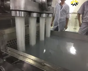 Machine d'extrusion pour le riz Vermicelli fin entièrement automatique, ligne de Production industrielle, issu de thaïlande