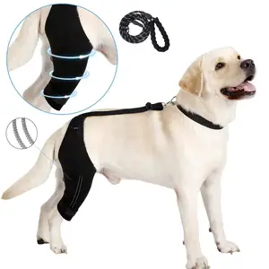 Hond Kniebrace Hondenbeenbeugel Voor Verstuiking Acl, Ccl, Arthriti-Houd Het Gewricht Warm En Stabiel, Hond Achterpoot Luxerende Patella Brace