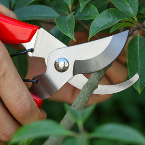 Stainless Steel Pruning Shears Red Curved Handle Bypass Pruner For Garden Branches 20-30 Mm - Product Image 4