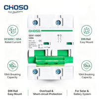 Disjoncteur miniature CHOSO DZ47-125 DC 2P 80A/100A/125A 500V 10kA pour rail DIN, usage domestique, solaire photovoltaïque et stockage d'énergie, protection contre les surcharges