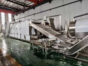 Nueva Máquina Extrusora de Hojuelas de Maíz, Extrusora de Cereales para Desayuno de Doble Tornillo, Capacidad de 100-300 kg/h, Acero Inoxidable de Grado Alimenticio - Product Image 4