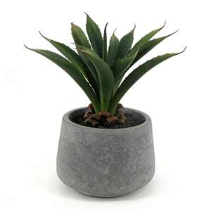 Bonsái Artificial Realista <span class=keywords><strong>en</strong></span> <span class=keywords><strong>Maceta</strong></span>, Vegetación Plástica de <span class=keywords><strong>Aloe</strong></span> <span class=keywords><strong>Vera</strong></span> para el Hogar, Sala de Estar, Planta Artificial de <span class=keywords><strong>Aloe</strong></span> <span class=keywords><strong>Vera</strong></span> del Desierto <span class=keywords><strong>en</strong></span> <span class=keywords><strong>Maceta</strong></span> - Product Image 1