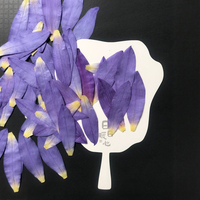 Petali di Ninfea Pressati Naturali Viola con Resina Epossidica per Gioielli Fai da Te, Petali di Ninfea Essiccati per Decorazioni di Gioielli