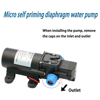 Pompa Air Diafragma Self-Priming Mikro Desun 12V 24V 60W 5L/Menit dengan Saklar Cerdas Tekanan Tinggi untuk Industri Otomotif