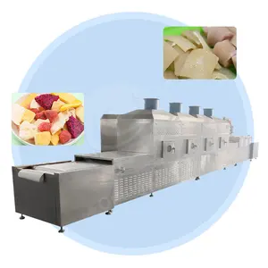 ORME China Professional Cocoa Bean Oven Dryer Moringa Leaf Coffee Flower Mechanical Microwave Tunnel Dry Machine
