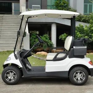 2 Seats Electric Cart Golf Buggy With High Quality Car Electric Conversion Kit