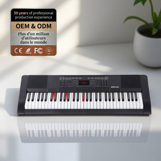 61-Key Beginner Keyboard AIERKE ARK-171 for Practice and Entertainment