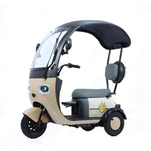Lightweight Tricycle Two-person Tricycle Leisure Tricycle - Product Image 1