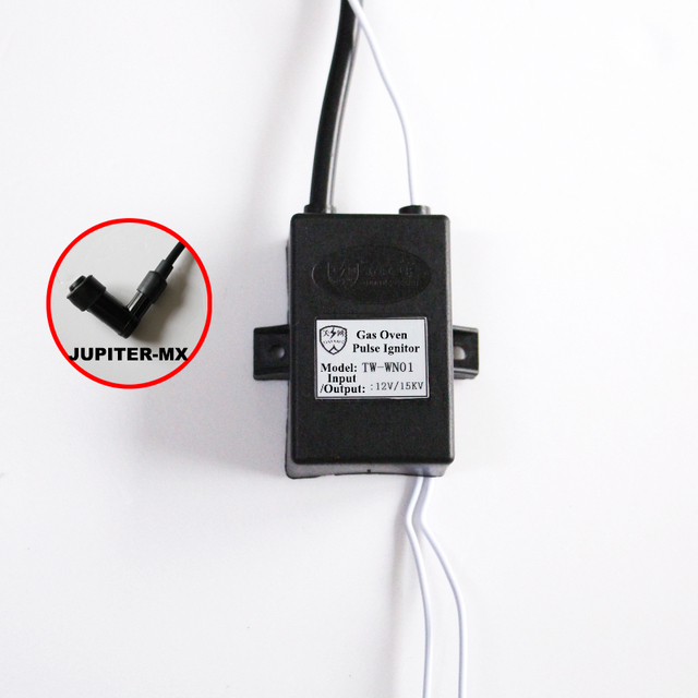 Customizable 12V High-Power Electric Spark Propane Igniter Flyback Transformer Ignition with 50Hz Frequency Plastic Material