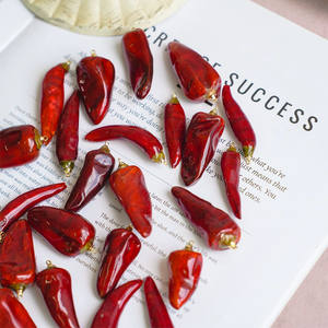 بيع بالجملة ديي صياغة القرط سوار قلادة صنع نبات جاف حقيقي راتنجات الايبوكسي الفلفل الأحمر لتزيين المجوهرات - Product Image 6