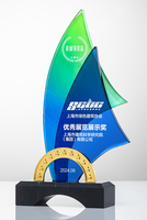 Trofeo Deportivo de Forma Irregular con Doble Cristal y Impresión a Color Personalizada, Premio de Honor Individual